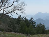 20201-Beycik-Tahtali