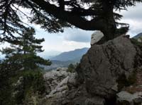 20204-Beycik-Tahtali