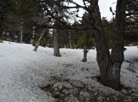 20206-Beycik-Tahtali