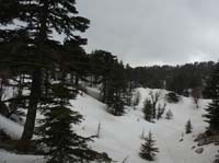 20207-Beycik-Tahtali