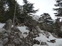 20208-Beycik-Tahtali