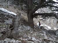 20211-Beycik-Tahtali