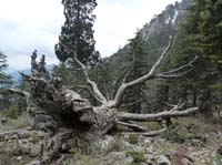 20215-Beycik-Tahtali