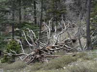 20216-Beycik-Tahtali