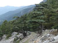 20218-Beycik-Tahtali