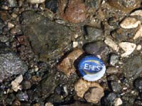 20231-Camyuva-Phaselis