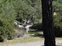 20233-Camyuva-Phaselis