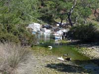 20234-Camyuva-Phaselis