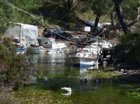 20235-Camyuva-Phaselis