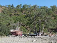 20237-Camyuva-Phaselis