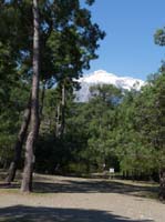 20238-Camyuva-Phaselis