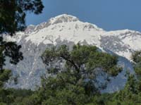 20239-Camyuva-Phaselis