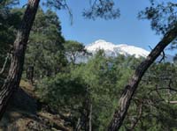 20245-Camyuva-Phaselis