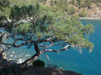 20246-Camyuva-Phaselis