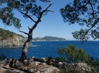 20253-Camyuva-Phaselis