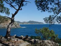 20254-Camyuva-Phaselis