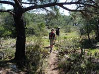 20271-Camyuva-Phaselis