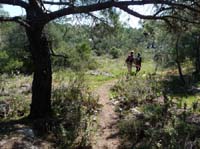 20273-Camyuva-Phaselis