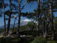 20277-Camyuva-Phaselis