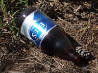 20278-Camyuva-Phaselis