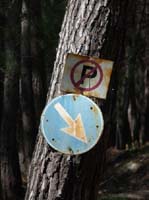 20299-Camyuva-Phaselis