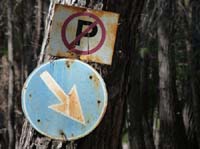 20300-Camyuva-Phaselis