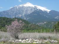 20305-Camyuva-Phaselis