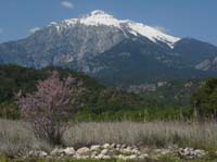 20306-Camyuva-Phaselis