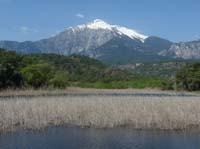 20307-Camyuva-Phaselis