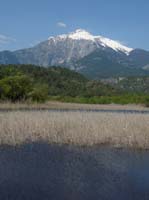 20308-Camyuva-Phaselis