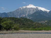 20310-Camyuva-Phaselis