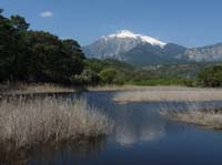 20311-Camyuva-Phaselis