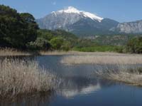 20313-Camyuva-Phaselis