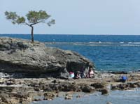 20323-Camyuva-Phaselis