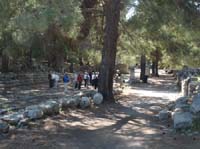 20325-Camyuva-Phaselis