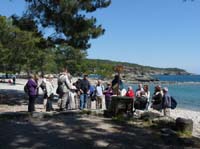 20326-Camyuva-Phaselis