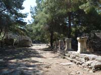 20327-Camyuva-Phaselis