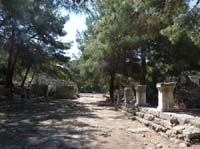 20328-Camyuva-Phaselis