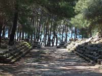 20343-Camyuva-Phaselis