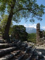 20396-Camyuva-Phaselis