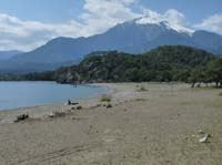 20417-Camyuva-Phaselis