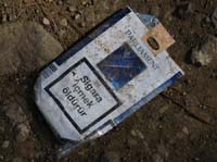 20423-Camyuva-Phaselis