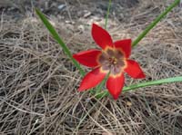 20545-Adrasan-Lykischer-Weg