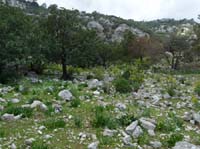 20551-Adrasan-Lykischer-Weg