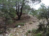 20552-Adrasan-Lykischer-Weg