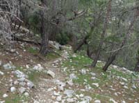 20553-Adrasan-Lykischer-Weg