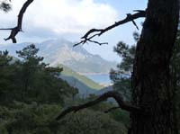 20565-Adrasan-Lykischer-Weg