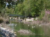 20594-Adrasan-Lykischer-Weg