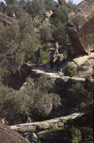 880313-Tuerkei-Buessing-021