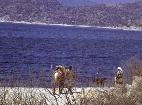 880313-Tuerkei-Buessing-041